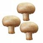 Champignon de Paris